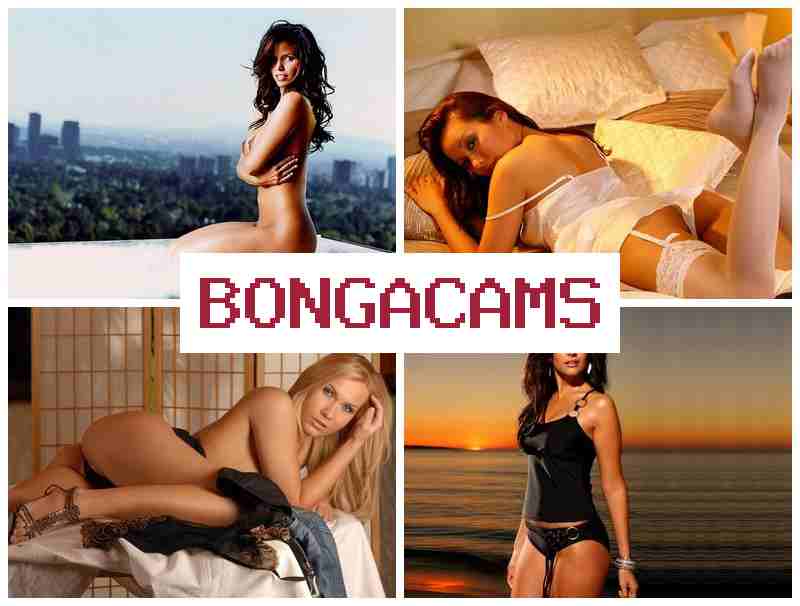 GONGACAMS 💓 Anal Avenue Sluts 2 & Rape Porn