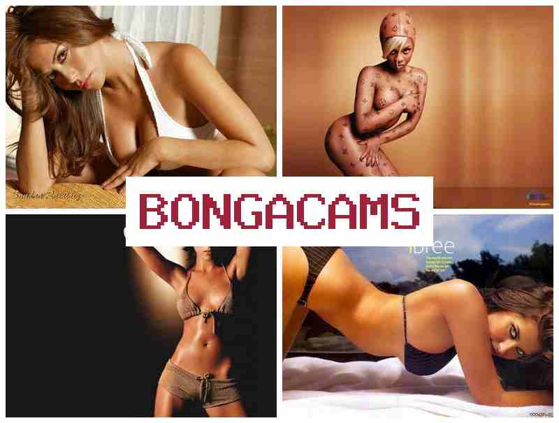 BINGACAMS ⭕ Young Teen Porn & Webcam Nudes Forums