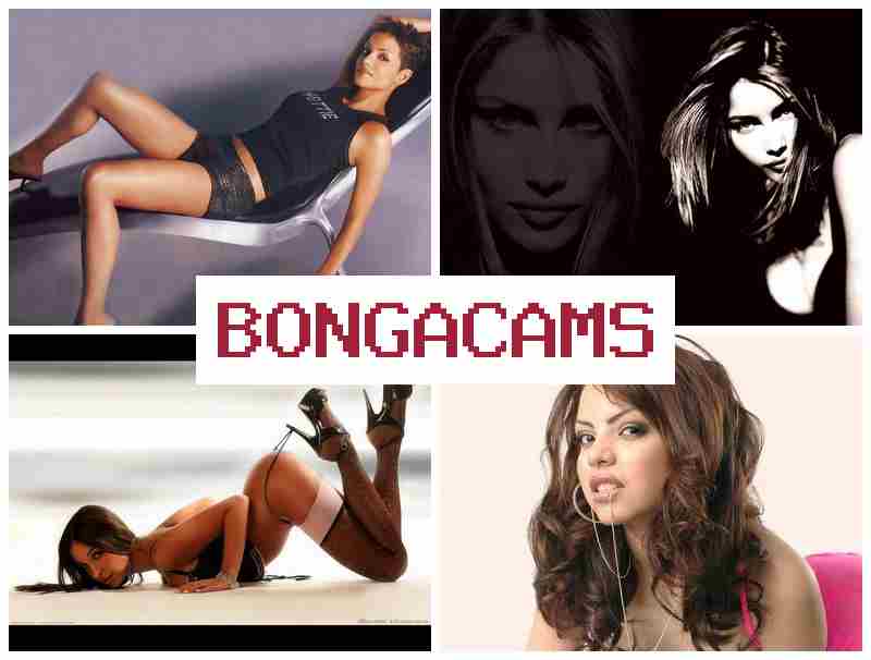 BONGWCAMS 💖 Giantess Porn & Luxury Porn