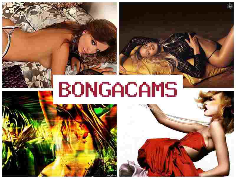 BONGSCAMS 👧 Orgasm, Webcam Girl Porn & Blacked Big Tits Girl Sex