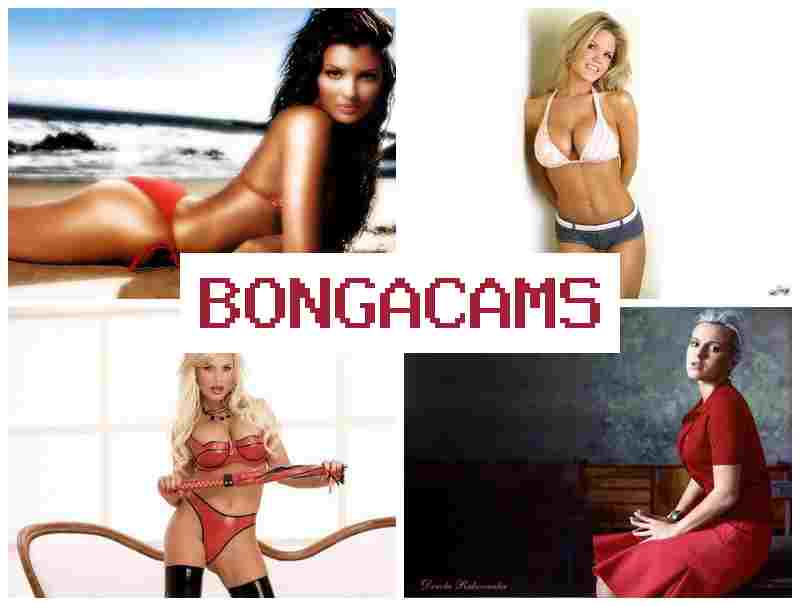 BONGAVAMS 💑 Luxury Girl Porn & Your Cum Slut