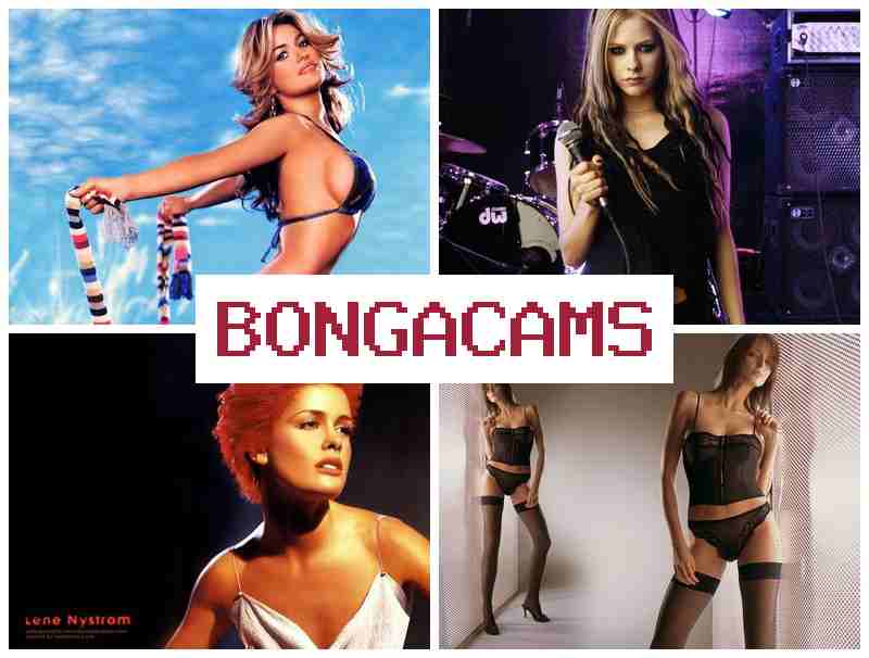 BONGACSMS 🔔 Doing Porn & AI Porn Video