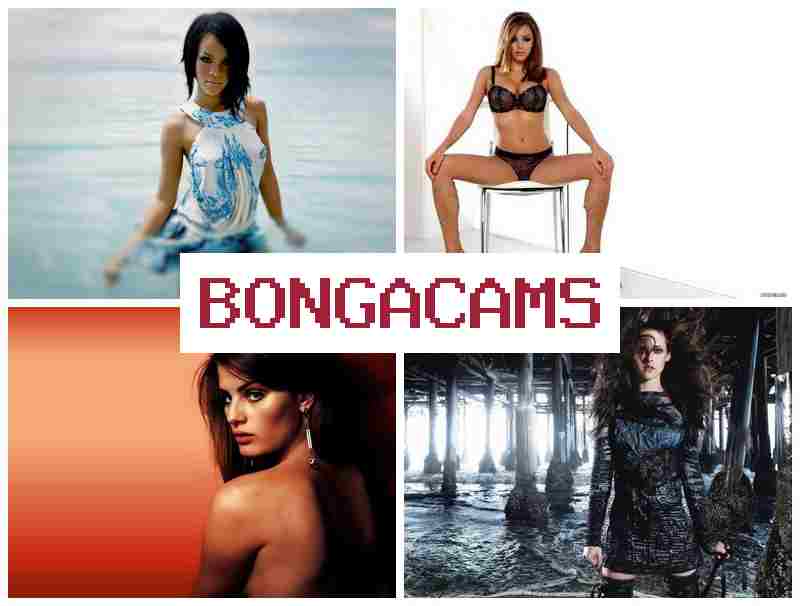 BONGACAJS 💻 Best Sex Scene Porn & Porn Done