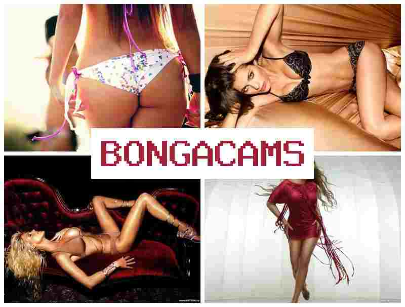 BONGACAKS 🌟 Mature Private Webcam Video & Two Sluts Porn