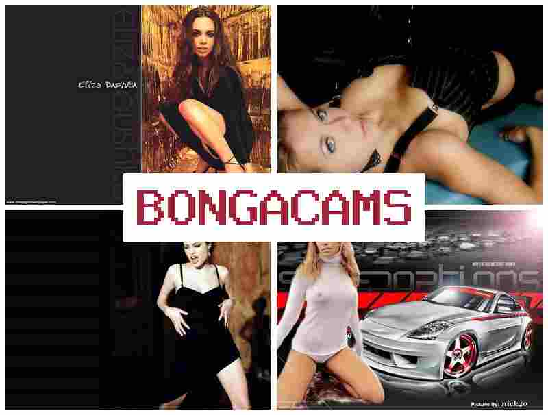 BONGACAMX 💝 Porn 18+ & Slut's