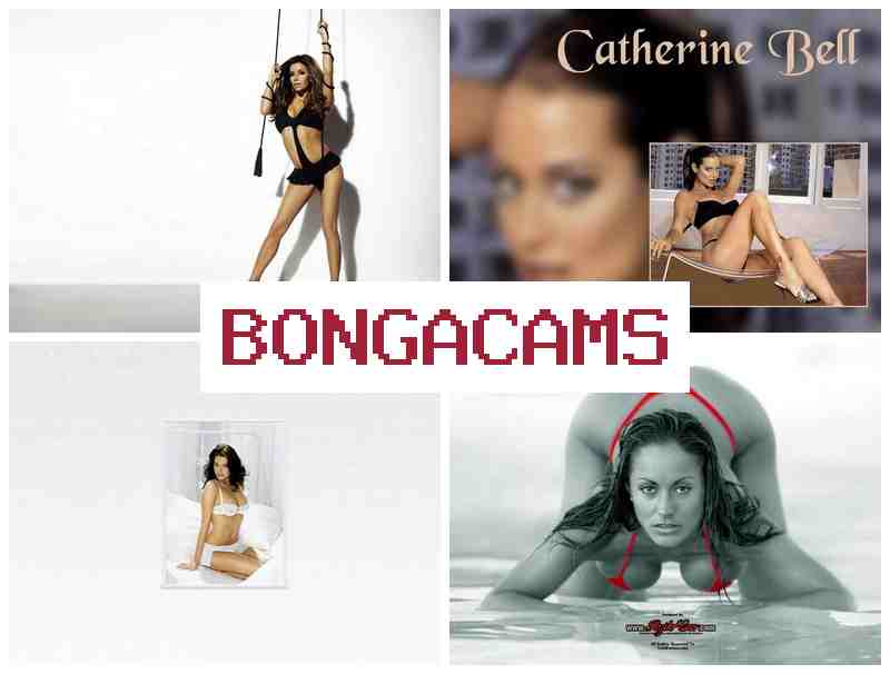 BONGACAMZ 🔺 Video Webcam Amateur Solo & Live Webcam Models, Free