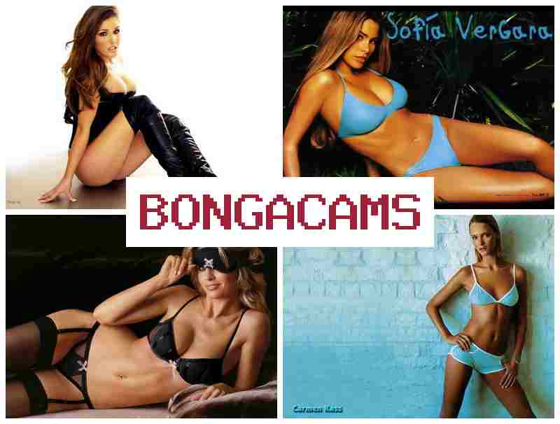 BONG CAMS ▓ Knight Porn & Asian Granny, Webcam