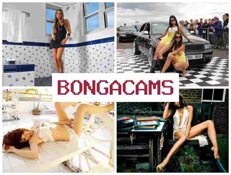 BONNGA CAMS 💙 Balls Porn & HD Cam Sex