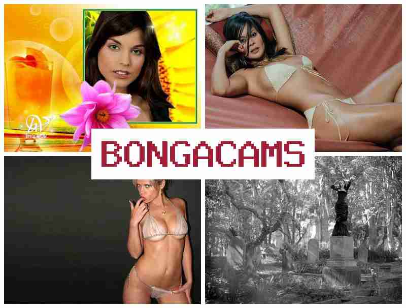 BONGA CAMMS 🆕 Webcams Orgasm Anal & Free Sex Rape Videos