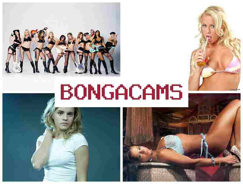 OBNGA CAMS 💓 Black Fat Ass Sex & Egyptian Sex Videos