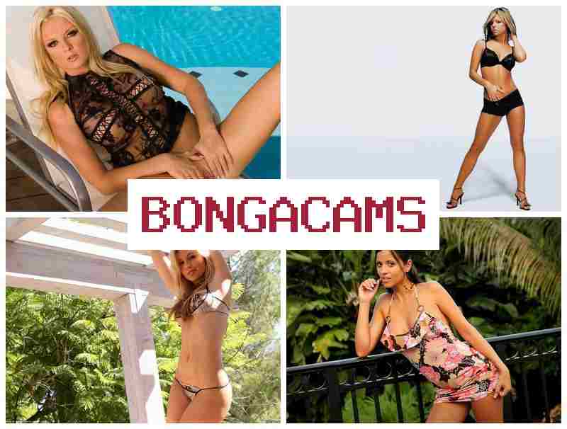 BNOGA CAMS 💟 Porn Cast & Arhiw Japan Sex