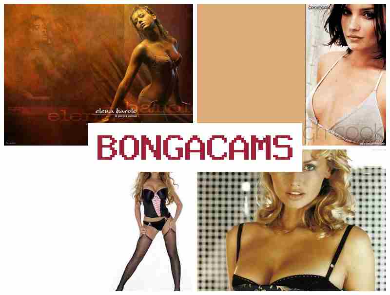 BONGAC AMS 💙 Webcam, Dildo Masturbation Solo & Porno Fat Slut BONGAC AMS 💙 Webcam, Dildo Masturbation Solo & Porno Fat Slut