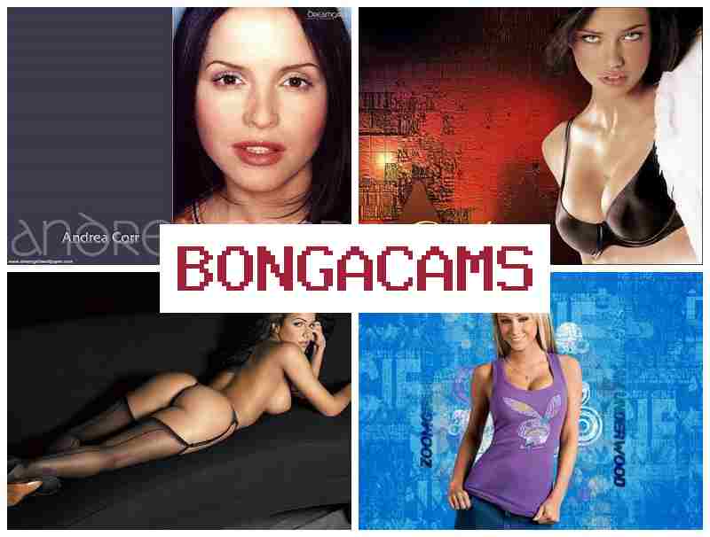 BONGACAM 👧 Chase Porn & Femdom Mistress Videochat