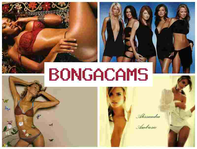 BINGA CAMS 🔴 Thai Porn & BBW Anal Sex Porn