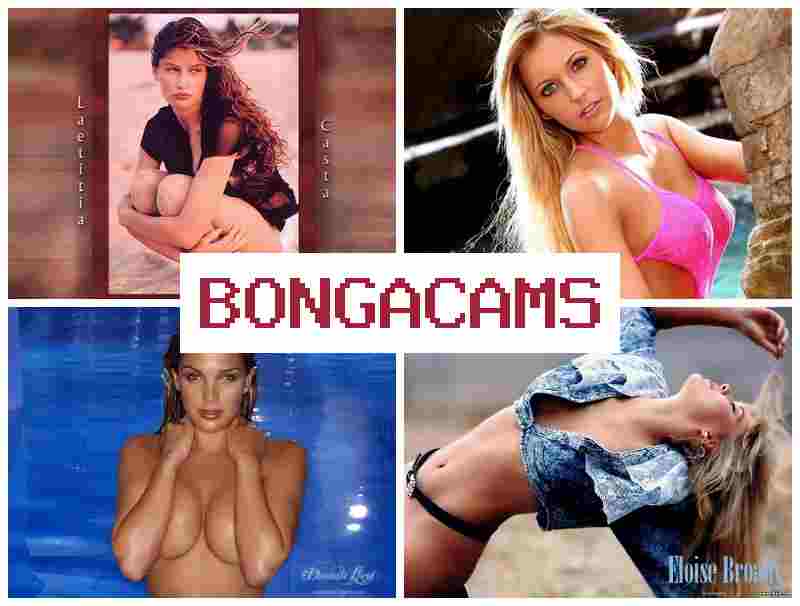 BOHGA CAMS 🔞 Best Porno Sex & Mature Toilet Sluts