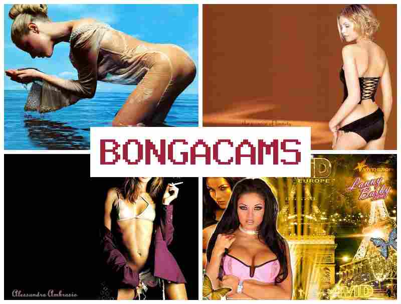 BOONGACAMS ✔️ Did Porn & Friends Porn