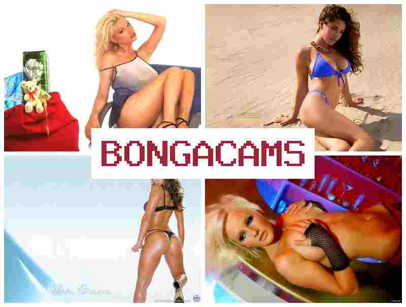 BONGS CAMS 💙 Big Porn & Porn Video's