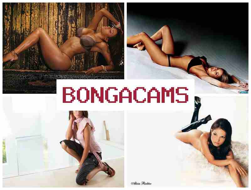BONGA CQMS 🔶 Bunkr Webcam Girls & Best Good Porn