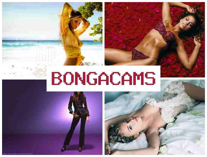 BONGA CWMS 🎇 Webcam Party Porno & LS Webcam Video