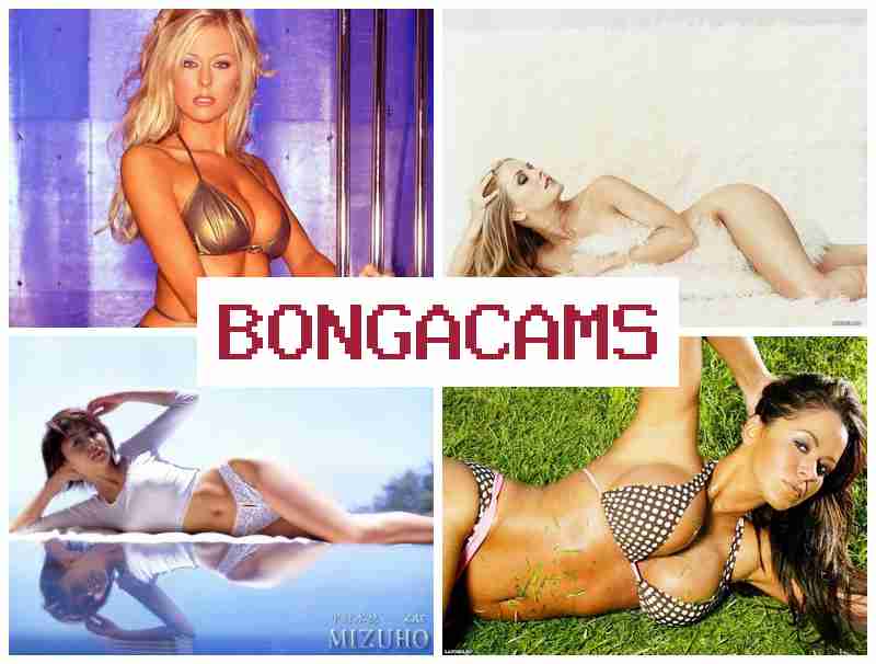 BONGA CZMS 🔷 18+ Sex Porn Hard Sex & Webcam Office Video