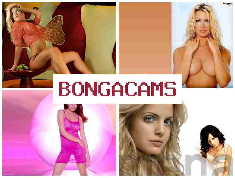 BONGA CANS 👩 Private Videos Chat & School Porn BONGA CANS 👩 Private Videos Chat & School Porn