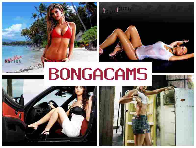 BONGA CAME 💻 Brutal Sex & Freeuse Slut