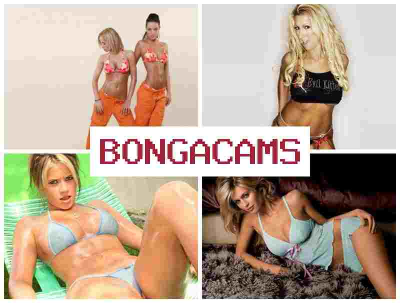 BONGACAAMS 🆕 Webcam Blowjob & Big Ass Butt Sex