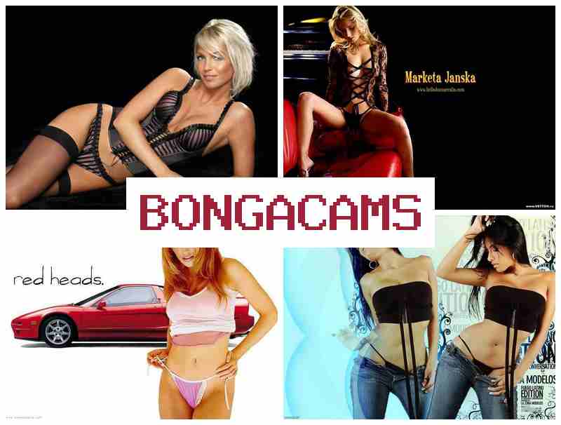 OBNGACAMS 🆗 Slut Piss Porno & Big Anal Porn