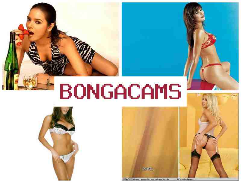 BONGACMAS 👠 Webcam, Teen Hairy Anal & Anal Slut Stars