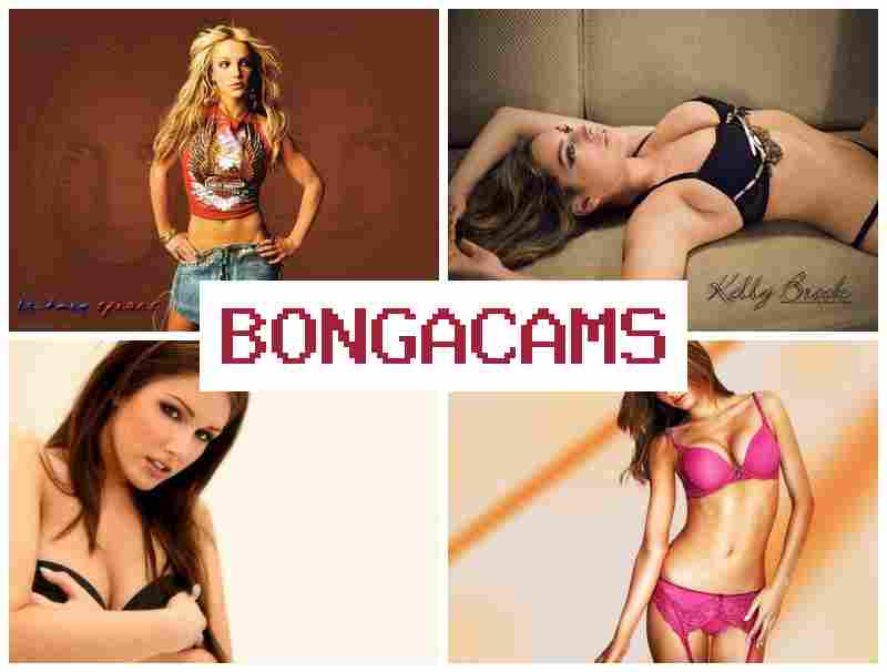 BINGACAMS 🔶 BBC Fucked Slut Porn & BBC Sluts Porno