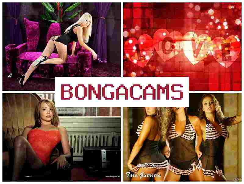 BOBGACAMS 🔴 Fisting Slut Porn & Celeb Sex VK