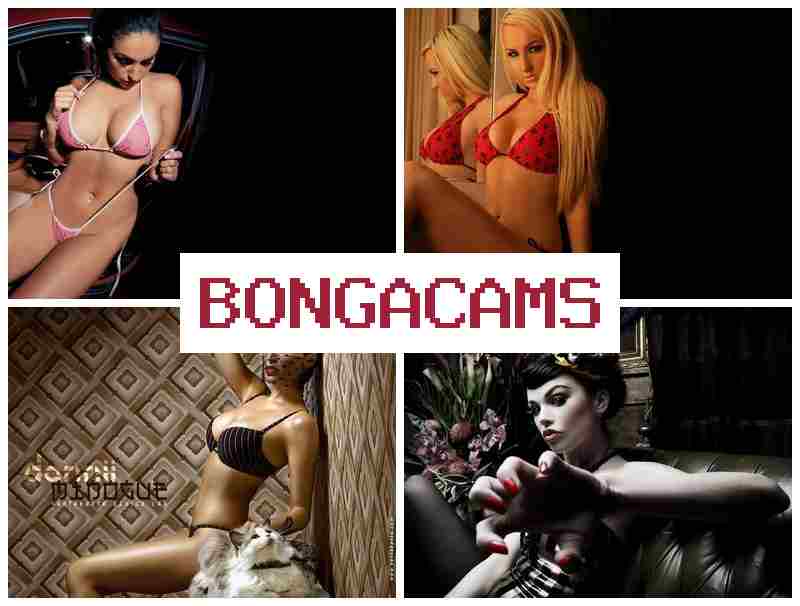 BONFACAMS 📺 Webcam Solo Sex & Free Adult Sex Webcam