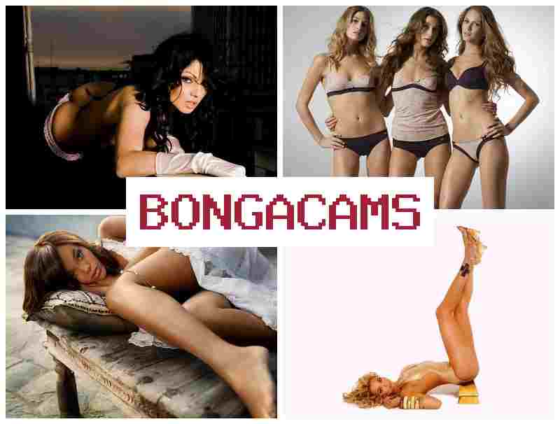 BONGAFAMS 💟 Threesome Porn & Hot Porn HD