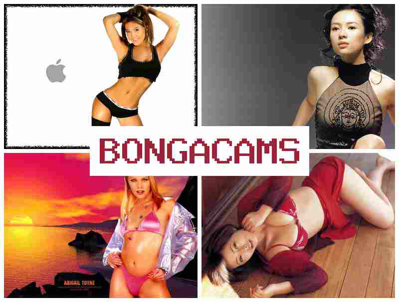 BONGACWMS 💟 Chase Porn & Rider Porn BONGACWMS 💟 Chase Porn & Rider Porn