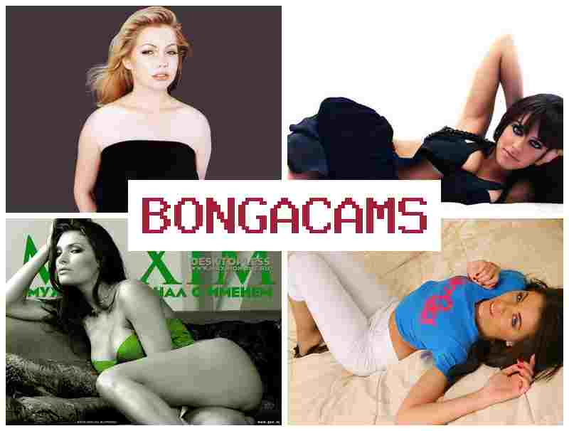 BONGACZMS 💙 Pro Stream Webcam & Hijab Sex Wife