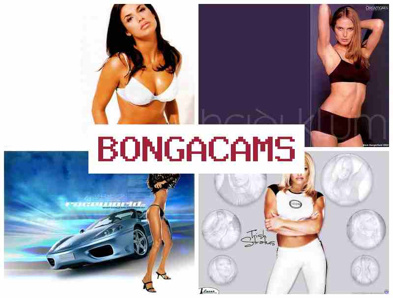 BONGACAJS 💏 Rule 34 Porn & Life Porn