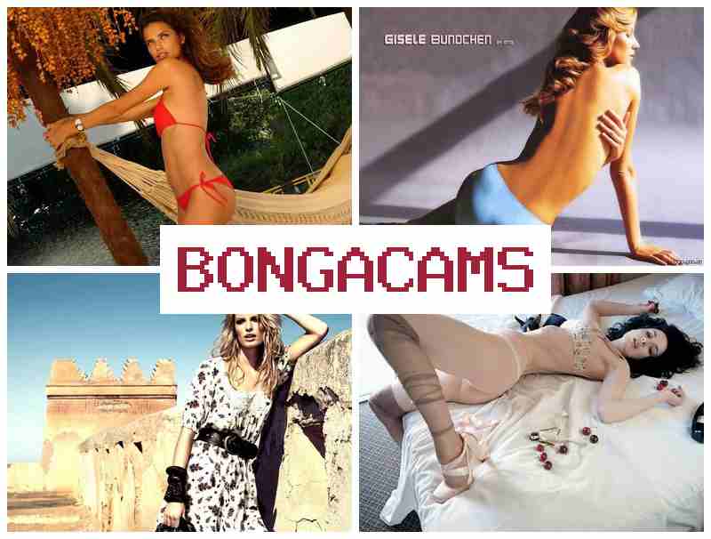 BONGACAKS ᐉ Miss Porn & Porn Forum