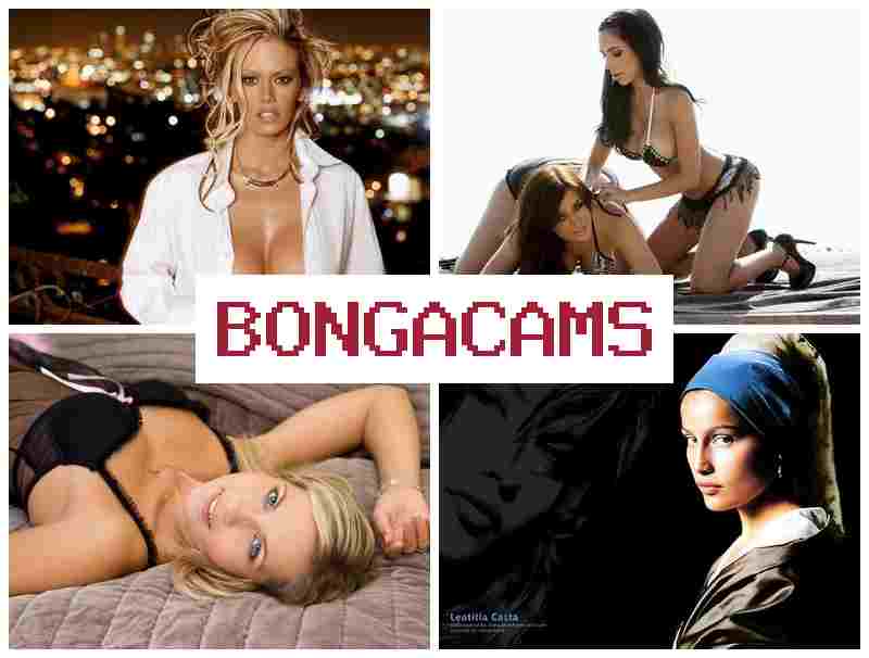 BONGACAMD 🔻 Sluts YES & Porn Tok