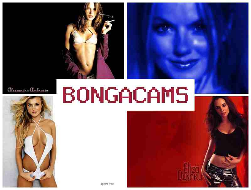 BONGACAMS 💖 BBC Porn & Public Slut Porn