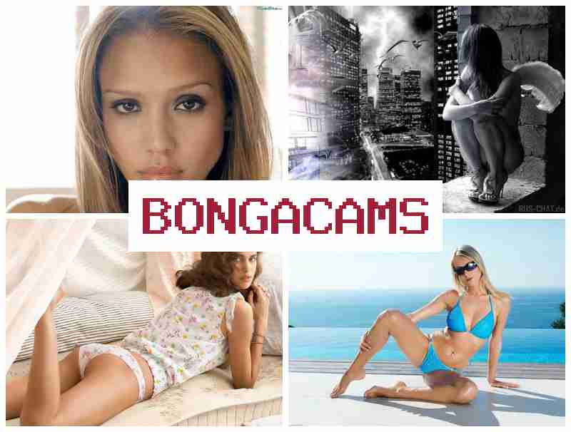 BONGA AMS 🆕 Free Tube Porn Pussy Sex & Webcam Fuck Hot Sex