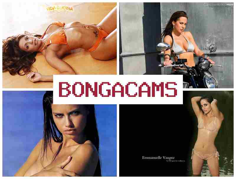 BONGA CAMMS 🎥 Thai Asian Webcam Porn & Mother Porn