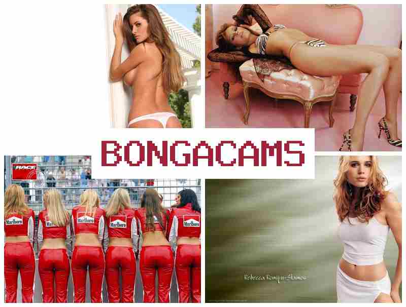 BONGA CAMSS 💓 Webcams Solo Nude Video & Slut Sex Pic