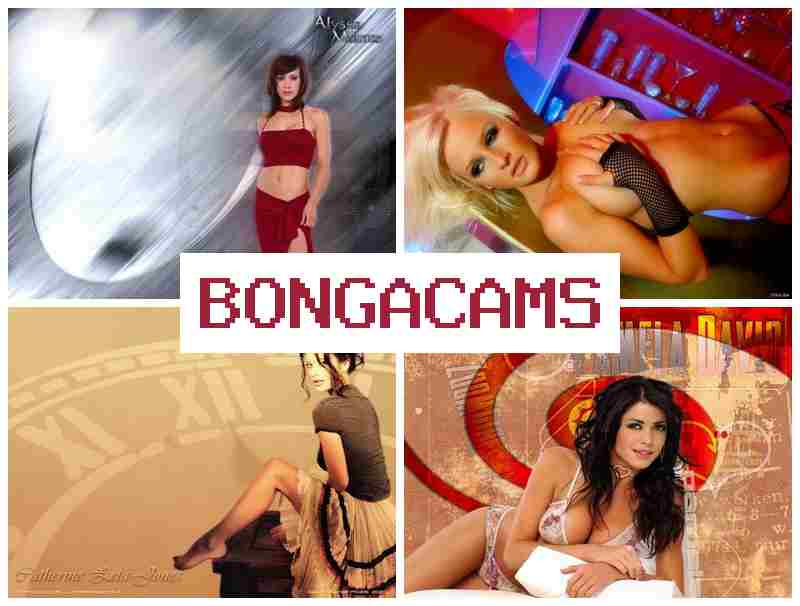 BONGACAS ▒ Slut Dreams & Porno Slut Trainer TG