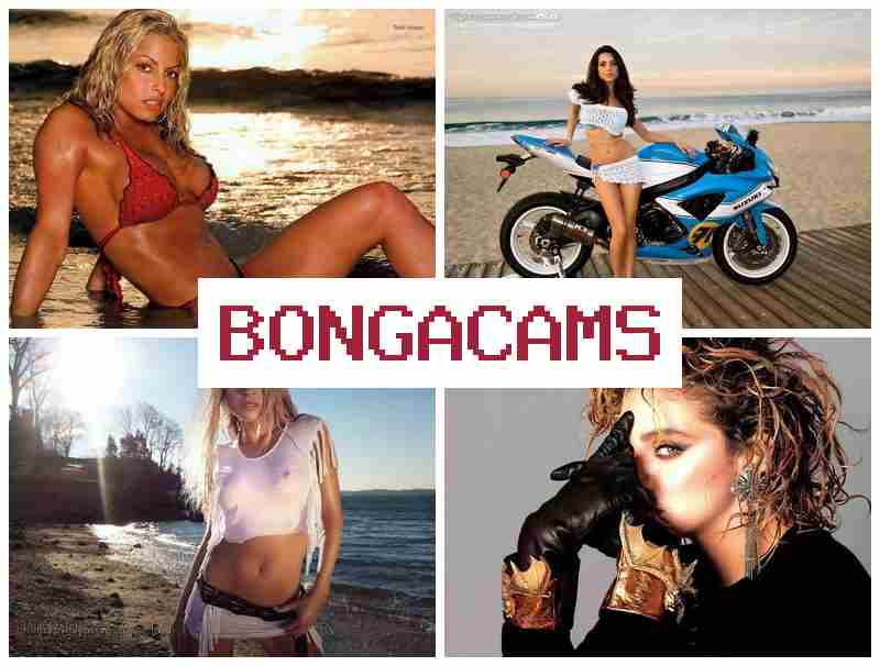 BONGA ACMS 🔴 BBW Porn & Webcam Sex Telegram