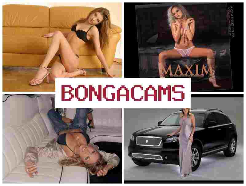 NONGA CAMS 🔻 Free Sex 1080P Porn & Slut Wife Tubes