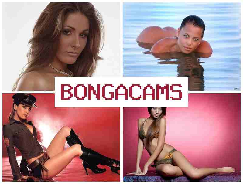 BOBGA CAMS 🔺 Teen Boy Webcam Porno & Hardcore Webcam Porno