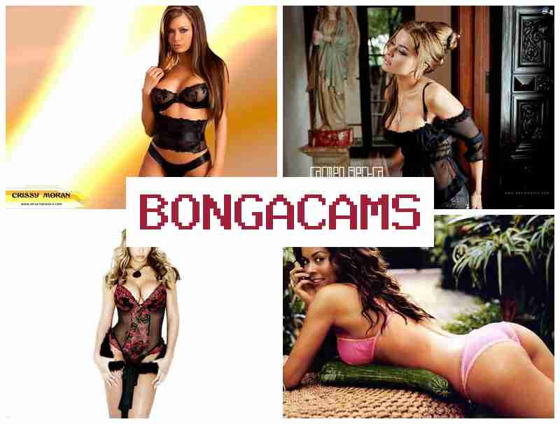 BONVA CAMS 💓 K-Webcam Video & Cumshots Sex Porn COM