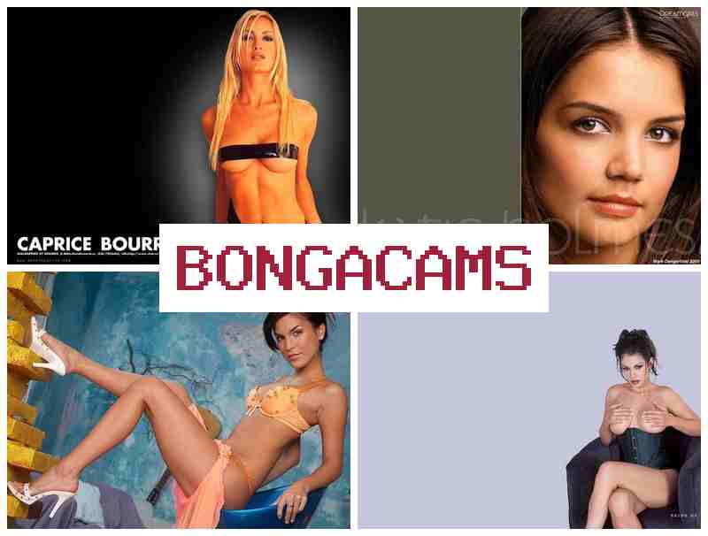 BONGA CAMD 📺 Free Live Chat Video Sex & Hard Anal Fuck Slut