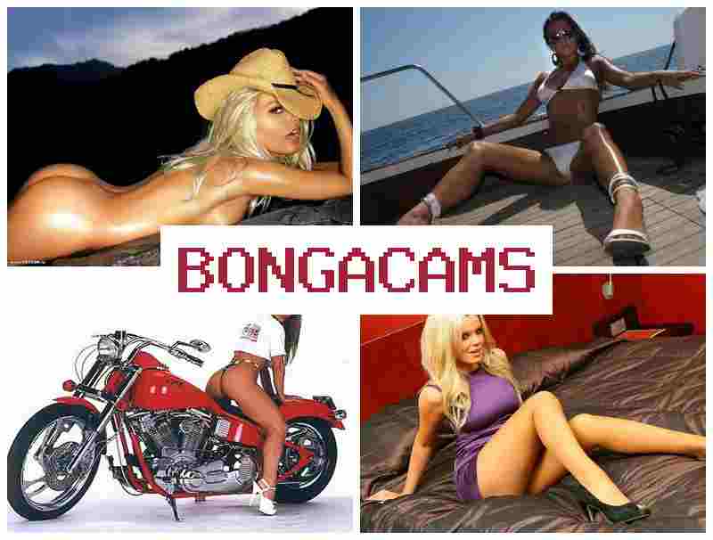 BONGA CAMZ 🆒 Mature Toilet Sluts Porn & Webcams Taani Anal