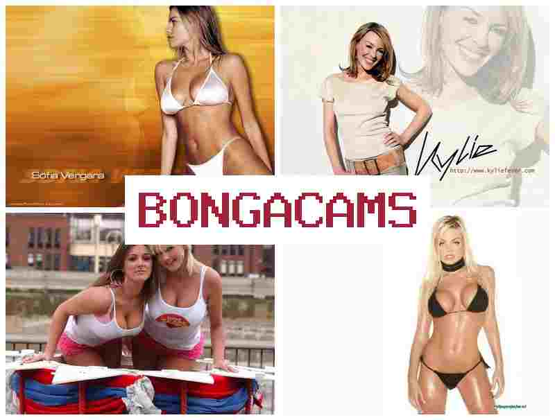 BONGACCAMS 🔻 365 Porn & Slayer Porn